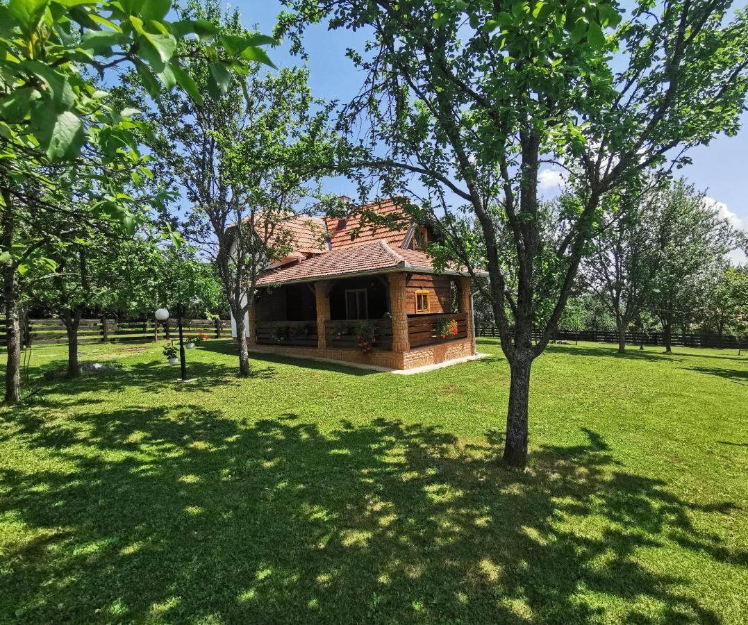 Seosko Domacinstvo Bondzulic Užice Exterior foto