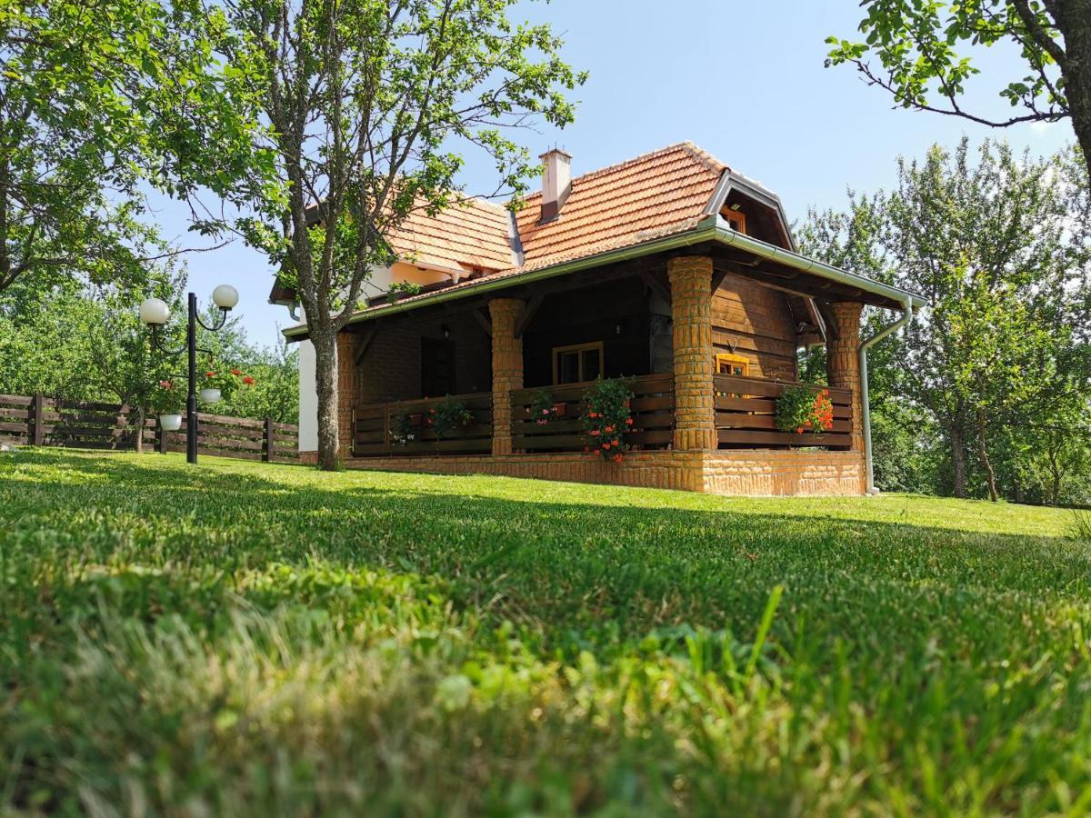 Seosko Domacinstvo Bondzulic Užice Exterior foto