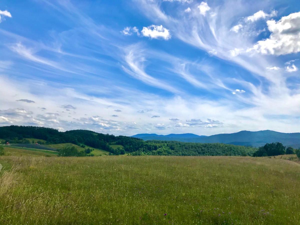 Seosko Domacinstvo Bondzulic Užice Exterior foto