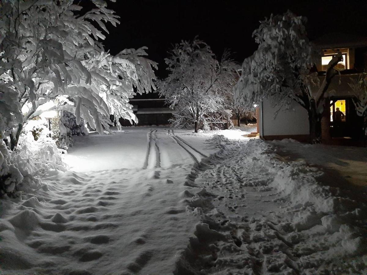 Seosko Domacinstvo Bondzulic Užice Exterior foto